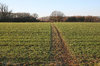 Field path