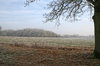 Frosty landscape