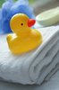 Bath Duck