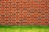 Brick Wall