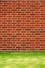 Brick Wall
