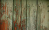Wood door texture