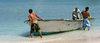 Transporting Coconuts 2