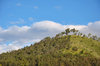 Green hill