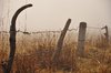 Wired fence