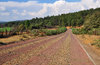Rural road