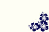 Hibiscus Card