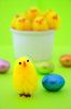 Easter Eggs & Chicks