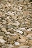 cobble stones