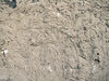 Mud Wall