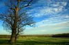 English Countryside