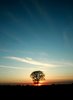 Sun Down