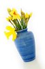 Daffodil Vase