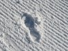 footprint