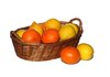 citrus fruits 1