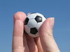 football fever 3