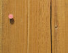 nail in wood