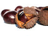 chestnuts 3