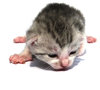 just born
