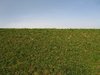 on the hill 1