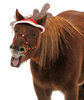 Merry Freakin' Christmas!!!!