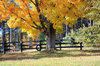 Autumn in Ontario 3