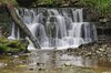 Scaleber Force