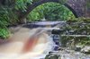 West Burton Falls