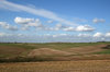South Downs 2
