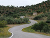 Curves on the road