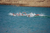 Swimmers in the reservoir