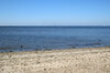 Placid beach