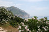 Coastline
