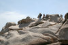 Tourists on sculpted rock