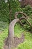 Twisted Tree