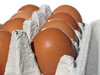 eggs carton 3