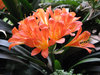 beautiful nature 1