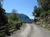 country road 1
