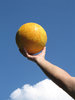 play volleyball 4