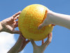 play volleyball 2