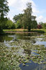 Pond in a park