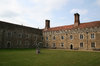 Grassy courtyard