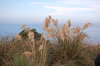 Kaikura view