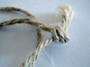 Knottie 1