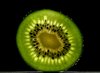 Kiwi in backlight