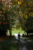 Seattle Park 4