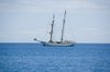 The Ship