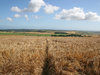 Farmland
