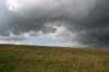 Summer storm 1