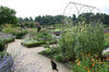 English garden